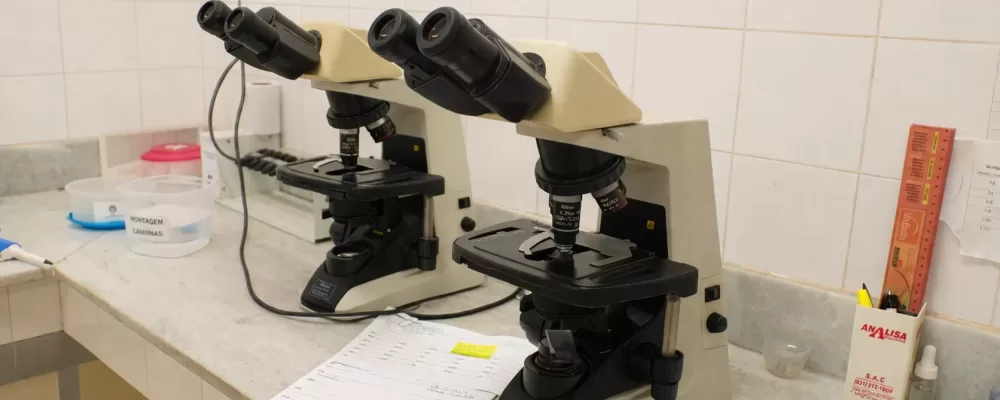 ChatGPT Image 26 de mar. de 2026, 12_00_03